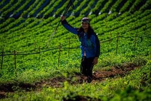 BIB: 
                            <button type="button" onclick="openModal(19160865)" class="btn btn-primary btn-sm float-right btn-popup" data-toggle="modal" data-target=".modal-high-quality">
                        <i class="fas fa-shopping-cart"></i> Add to Cart
                    </button>
                                            <button type="button" onclick="isThisMe(19160865, true)" class="btn btn-success btn-sm float-right btn-popup btn-isme hidden" data-toggle="tooltip" data-placement="bottom" title="นี่คือรูปของคุณใช่ไหม คลิกที่นี่เพื่อเอาเข้าอัลบั้ม">
                        <i class="fas fa-plus"></i> Add to album
                    </button>
                    <button type="button" onclick="isThisMe(19160865, false)" class="btn btn-warning btn-sm float-right btn-popup btn-isnotme hidden">
                        <i class="fas fa-ban"></i> Remove from album
                    </button>